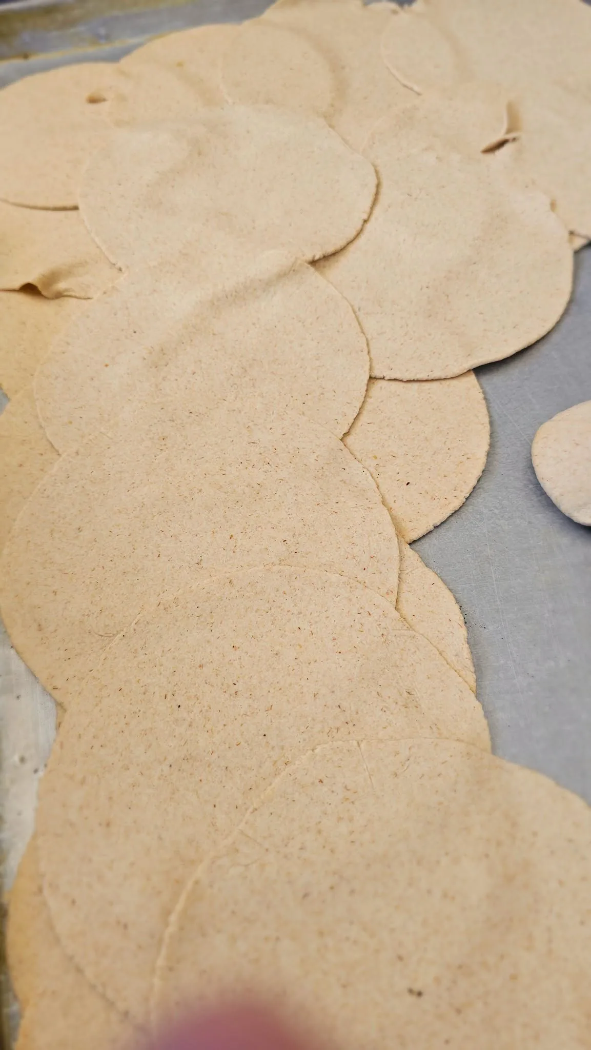 Masa de tortillas de harina extendida a mano sobre una charola